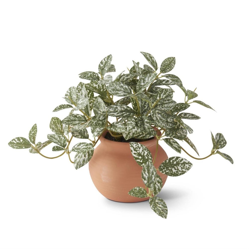 Potted green and white speckled faux plant in a round terracotta ceramic pot on a white background.