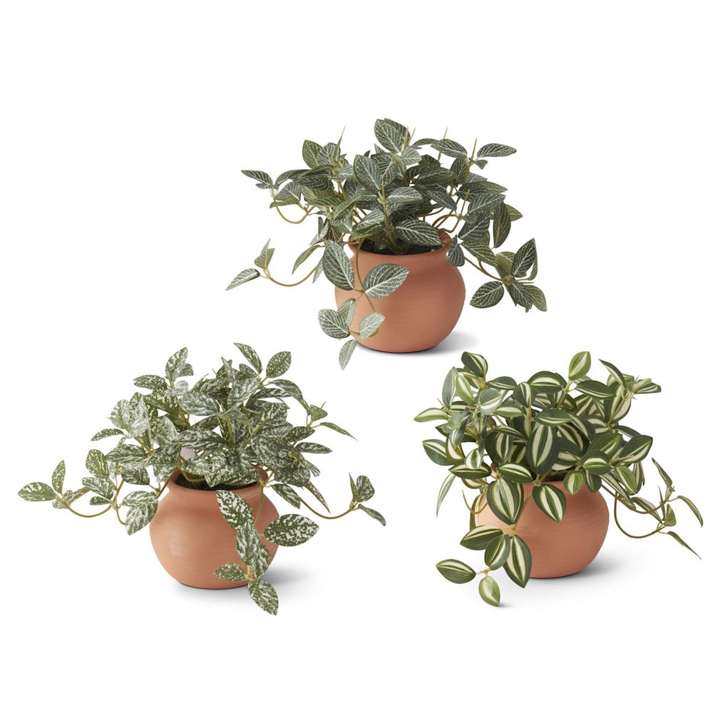 Three artificial trailing plants in terracotta ceramic pots with variegated green and white leaves on a white background.