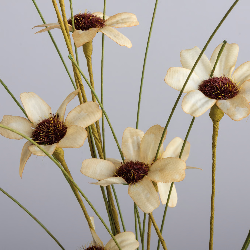 Close-up of artificial cream flowers with dark fuzzy centers on thin green stems.