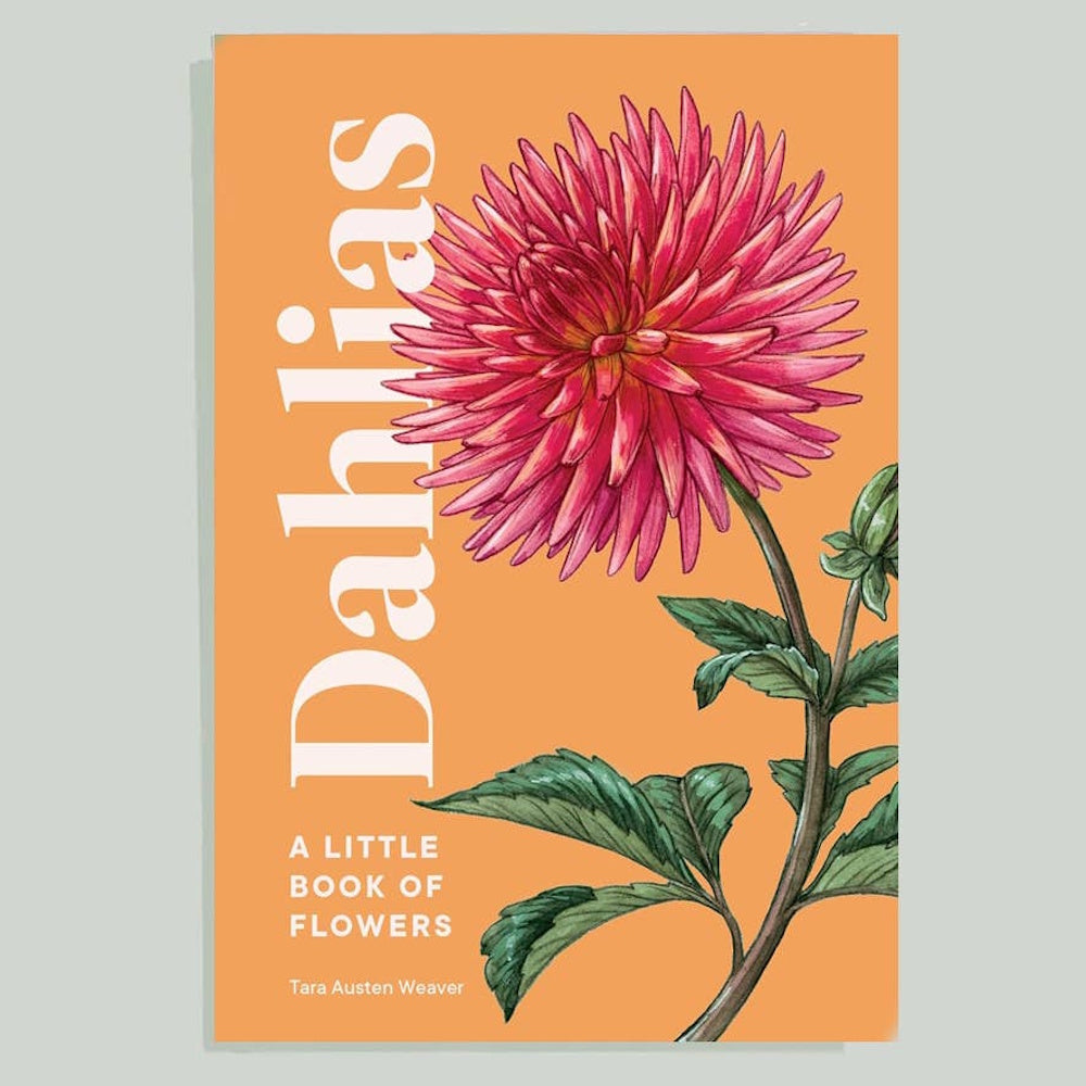 Dahlias: A Little Book of Flowers by Tara Austen Weaver book cover with a pink dahlia illustration on an orange background.