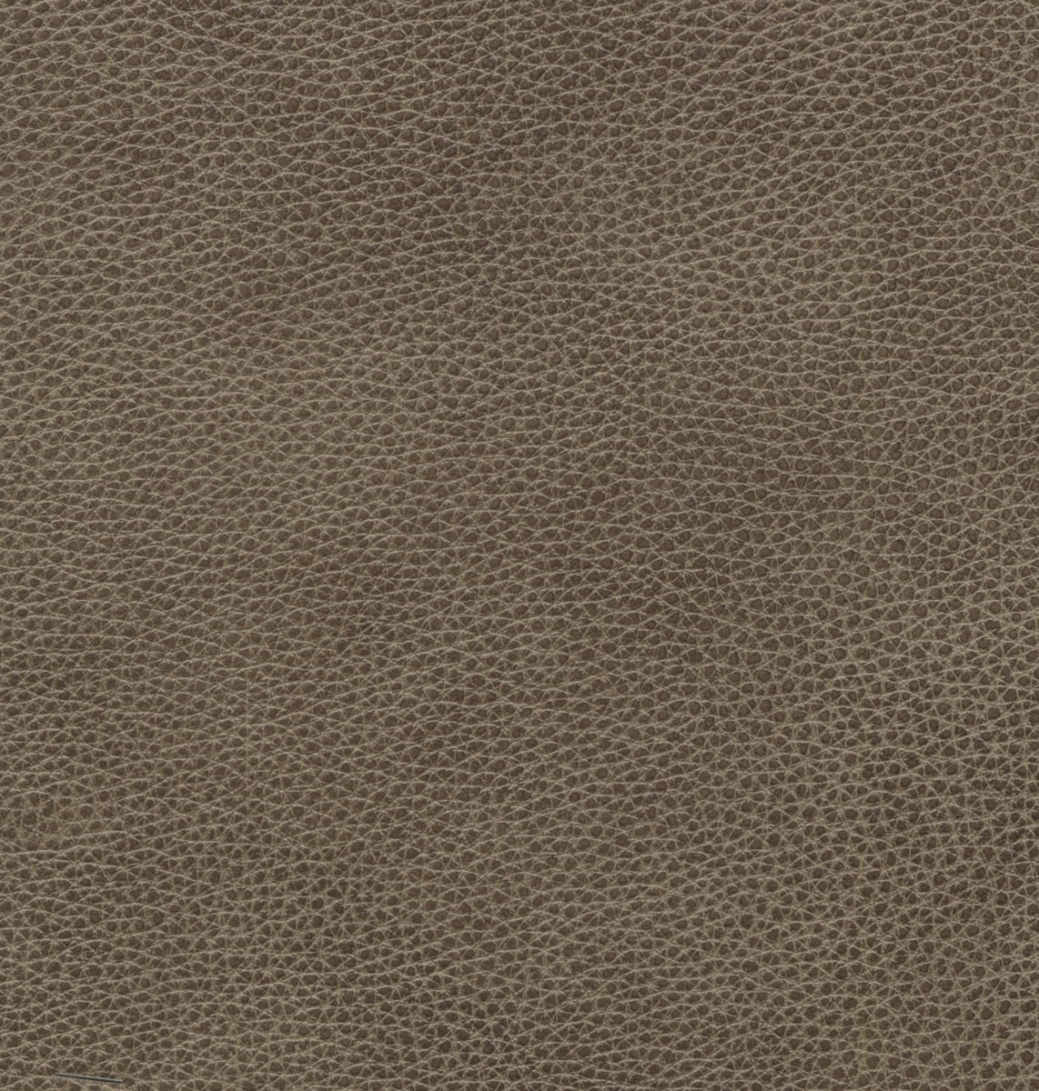 Marcello - Elliott-Taupe-1 — alternate view 2