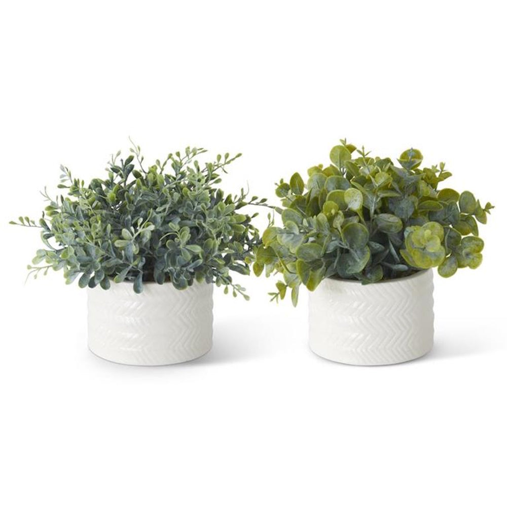 Two small artificial eucalyptus plants in white ribbed ceramic pots on a white background.