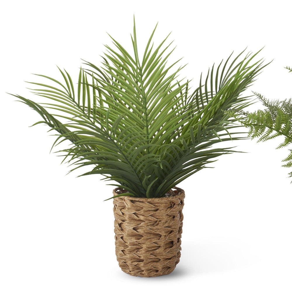 Artificial fern plant in a woven wicker basket pot for indoor home decor, isolated on a white background.