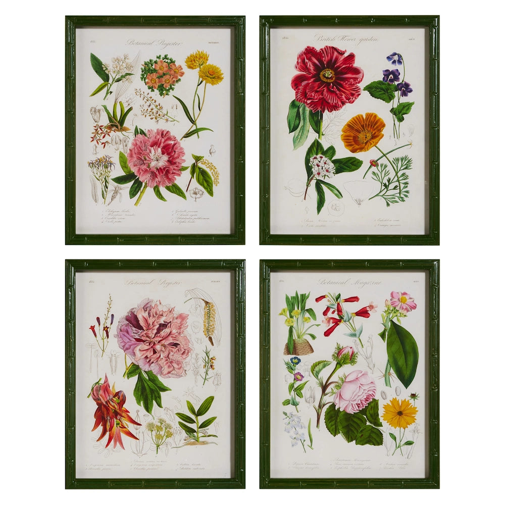 Four framed vintage botanical illustrations of various flowers in green bamboo-style frames, arranged in a two-by-two grid.