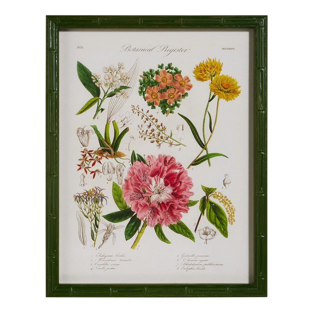 Framed botanical illustration featuring various colorful flowers and plants in a green faux-bamboo frame.