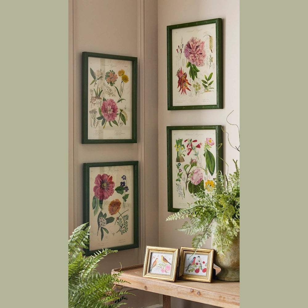 Four framed vintage botanical flower prints on a wall above a wooden table with small bird pictures and a fern.
