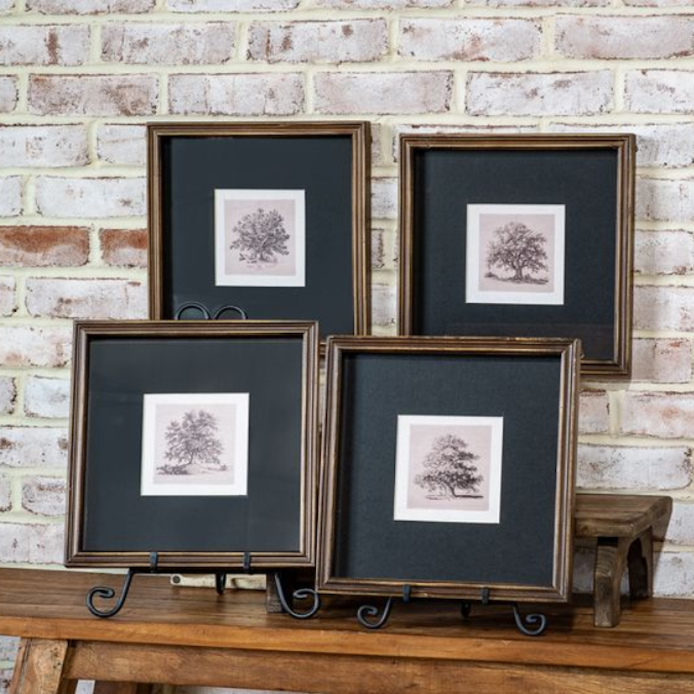 Set of four framed tree sketches with black mats and wooden frames displayed against a brick wall.