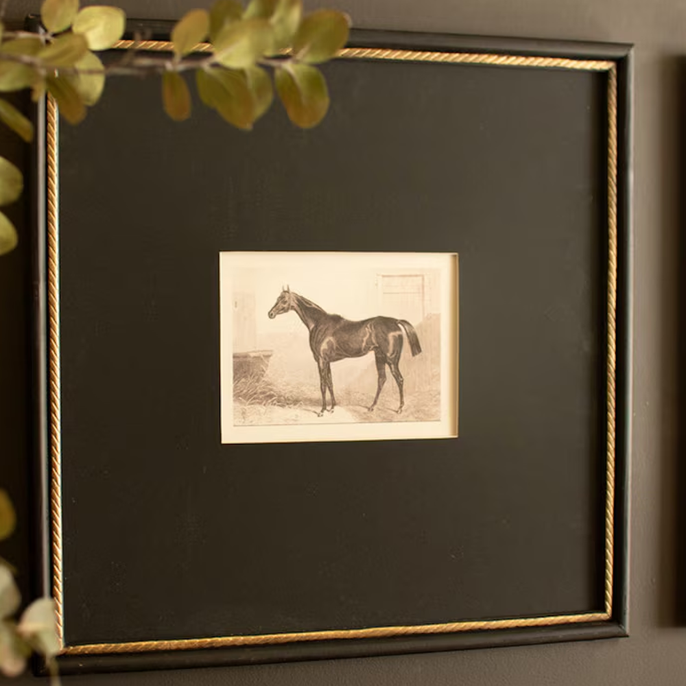 Close-up of a framed vintage black and white horse print with a dark mat and gold beaded inner border.