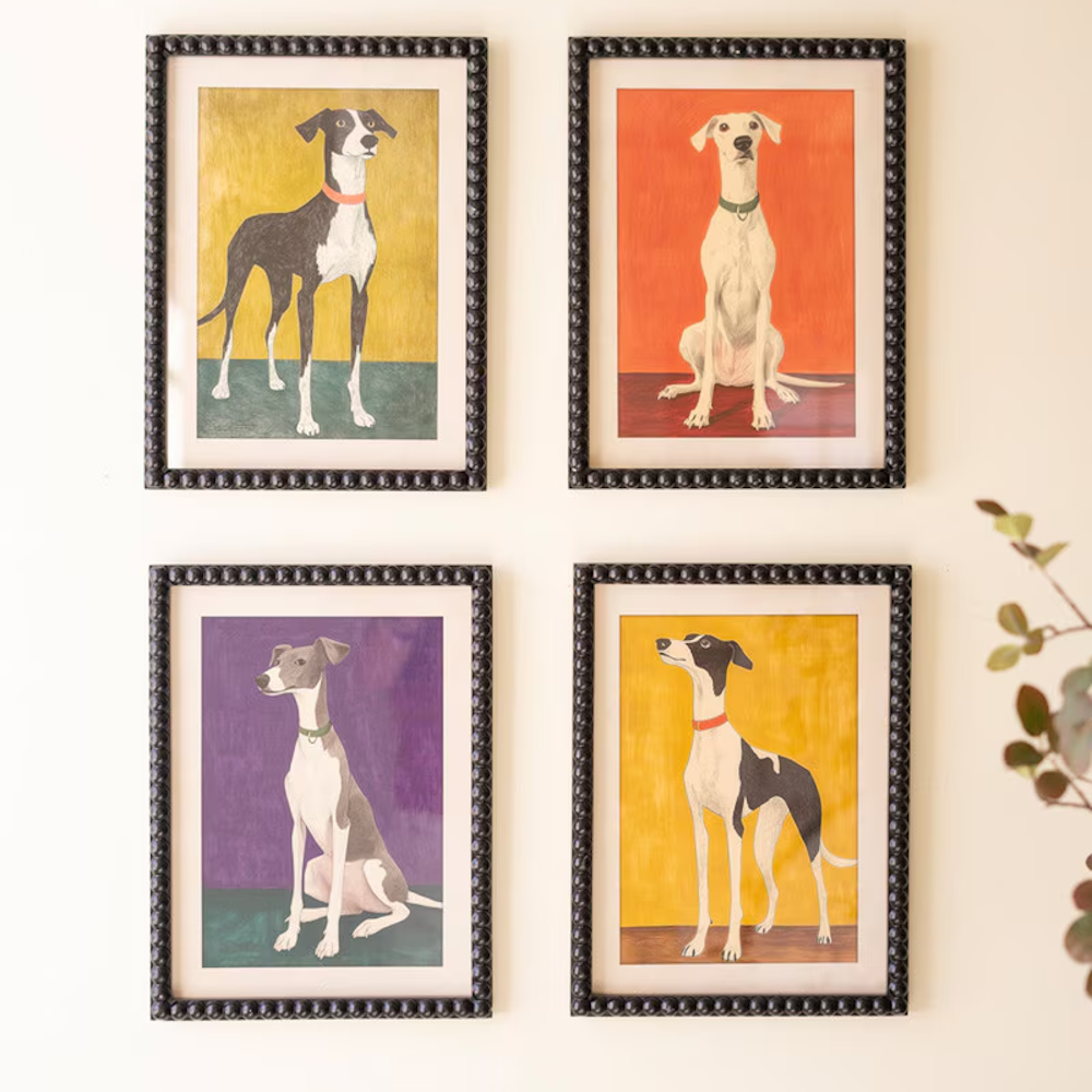 Set of four framed hound dog prints under glass, arranged in a grid on a light wall.