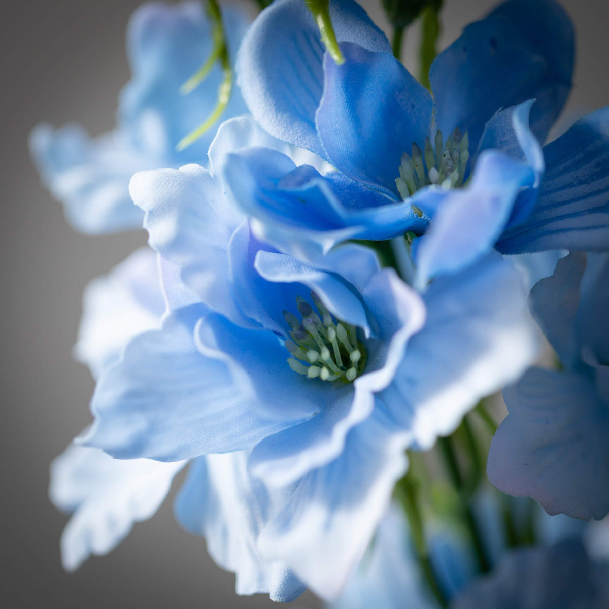 Freshcut Tall Vivid Blue Delphinium Spray — alternate view 2
