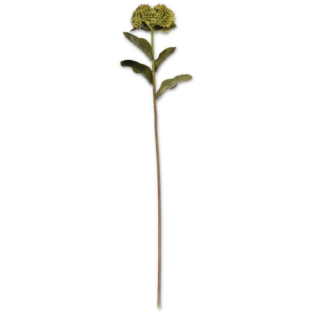 A single artificial green sedum stem with dense flower heads and realistic leaves on a plain white background.