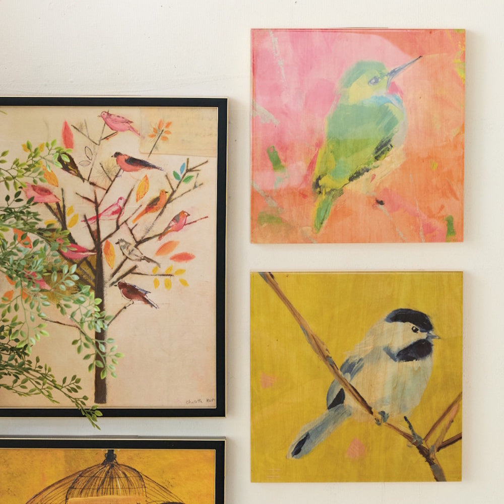 Four framed paintings of birds on a wall, featuring a tree with multiple birds, a hummingbird, and a chickadee.