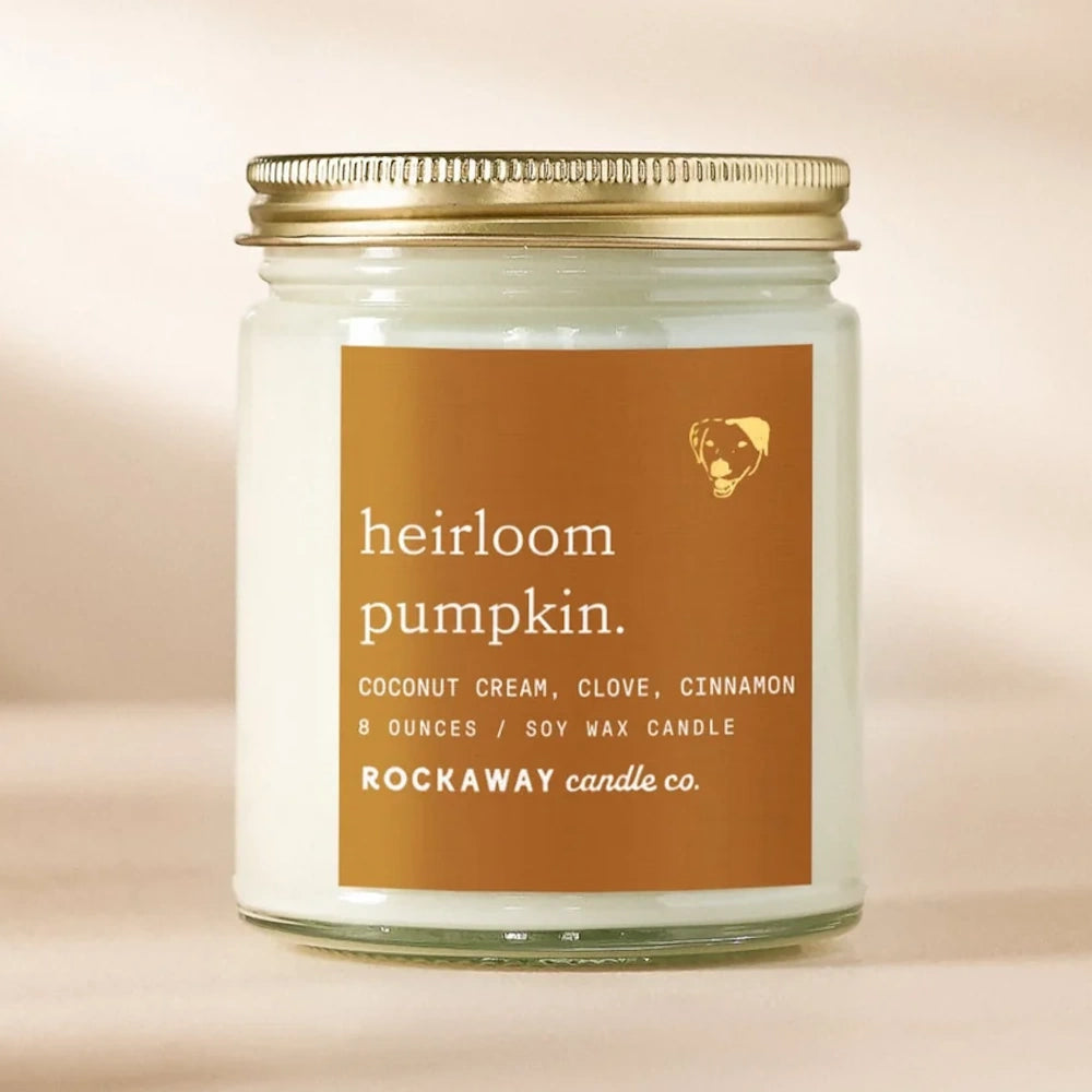 An 8oz Heirloom Pumpkin soy wax jar candle by Rockaway Candle Co. with a gold lid against a warm background.