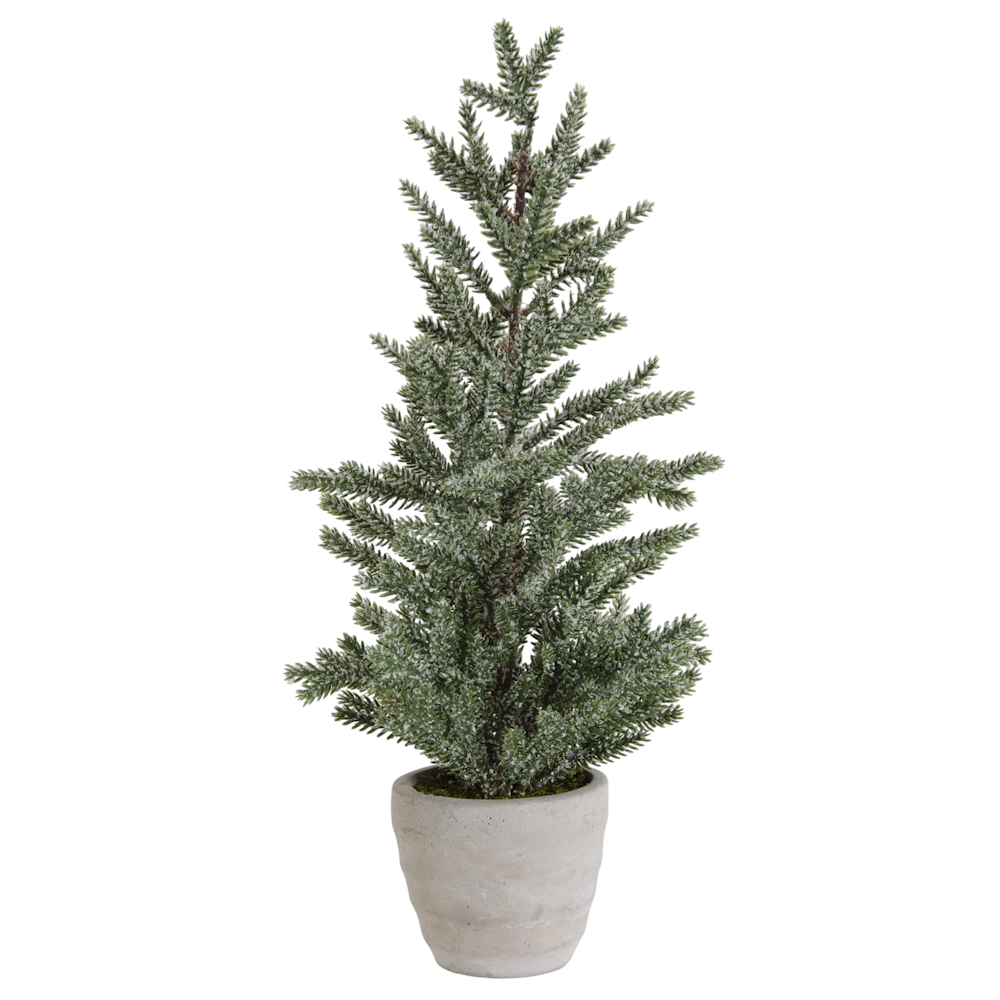 Snow-dusted evergreen pine tree sitting inside a rustic gray cement planter pot on a plain white background.