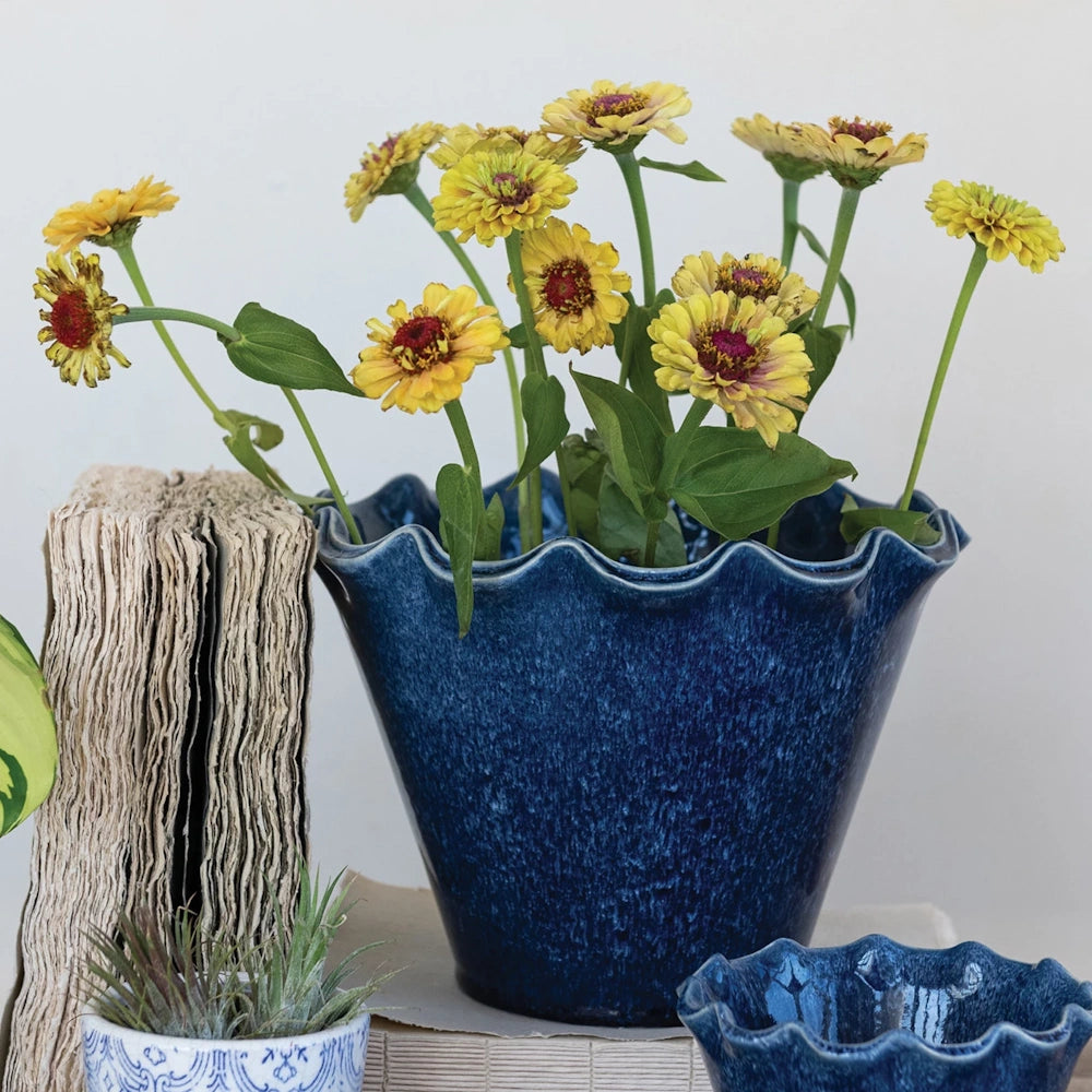 Blue glazed stoneware planter with ruffled edge holding yellow zinnia flowers.