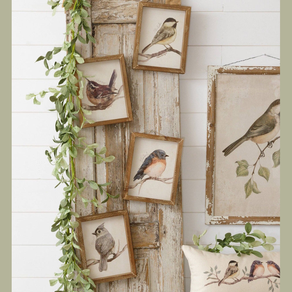 Framed bird illustrations hanging on a weathered wooden shutter with green foliage and a decorative pillow.