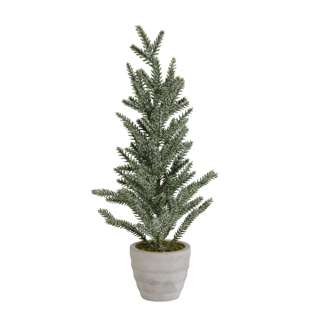 Medium frosted snow-dusted pine tree standing in a gray rustic cement pot on a white background.