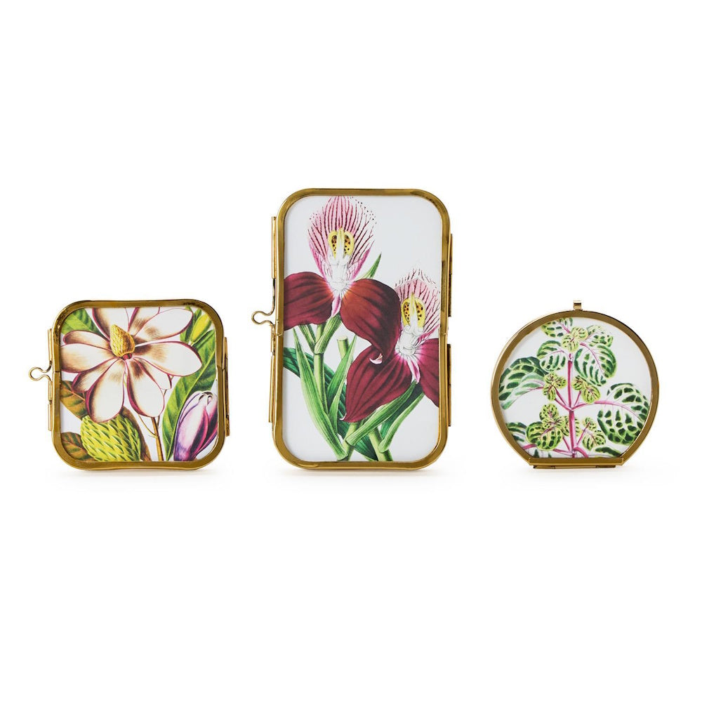 Set of three small gold-rimmed picture frames featuring botanical illustrations on a white background.