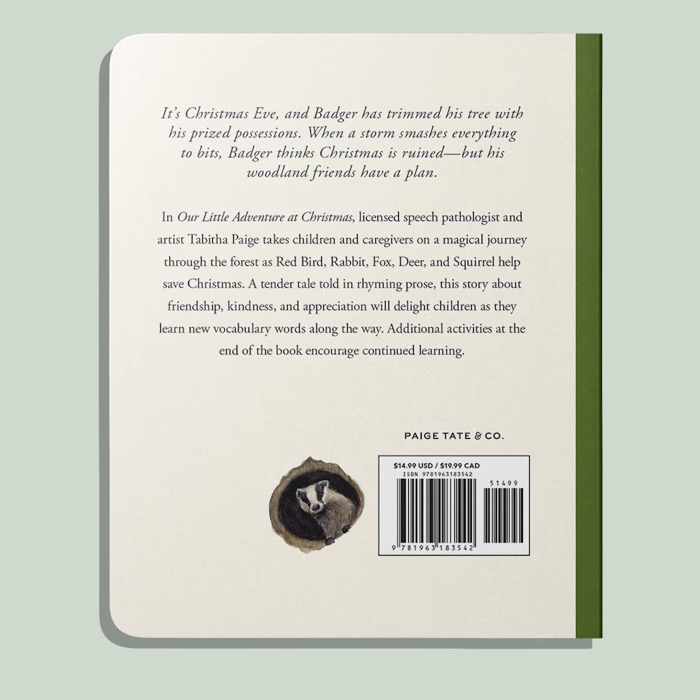 Back cover of Our Little Adventure at Christmas children's book featuring a story summary and illustration of a badger.
