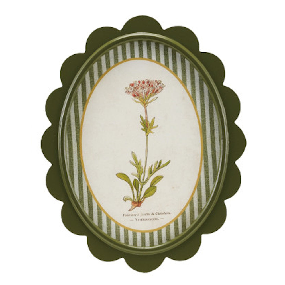 Oval scalloped green wall decor featuring a botanical flower illustration with a green and white striped mat.