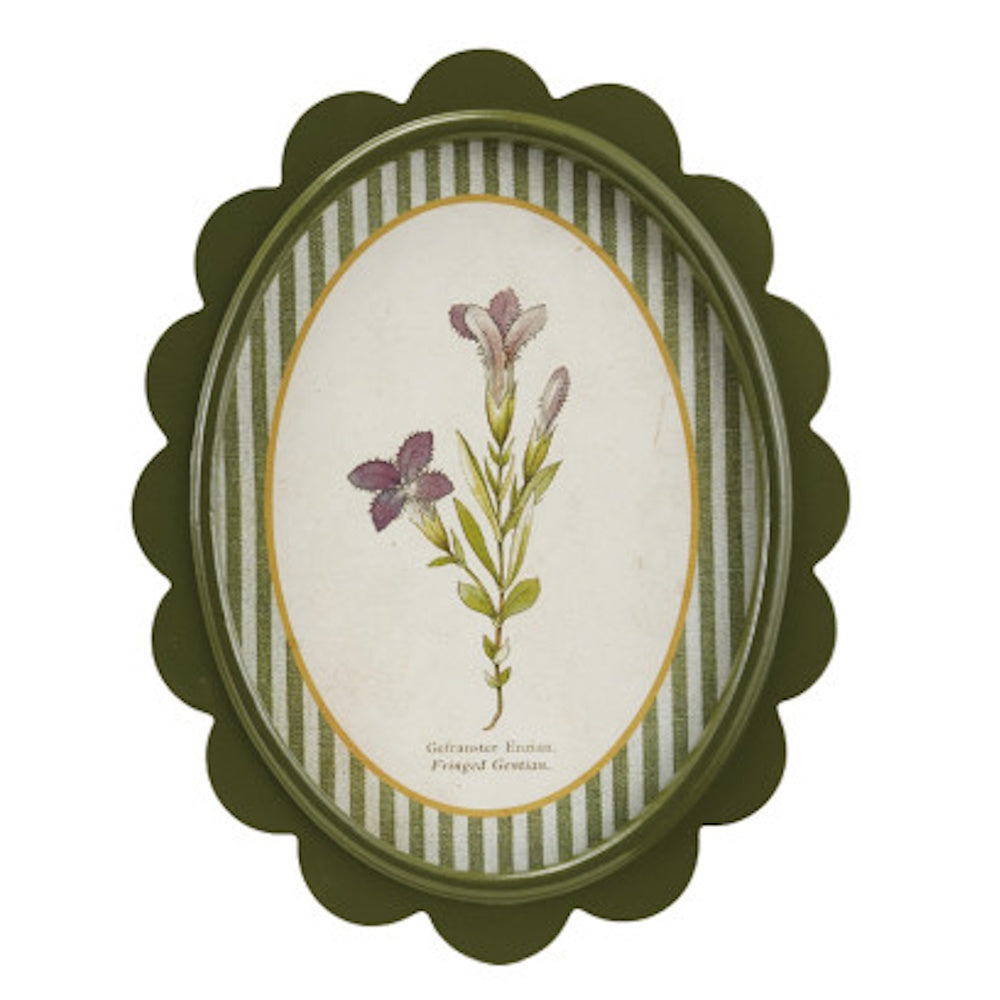 Oval green scalloped wall decor featuring a botanical fringed gentian flower print with a green and white striped mat.
