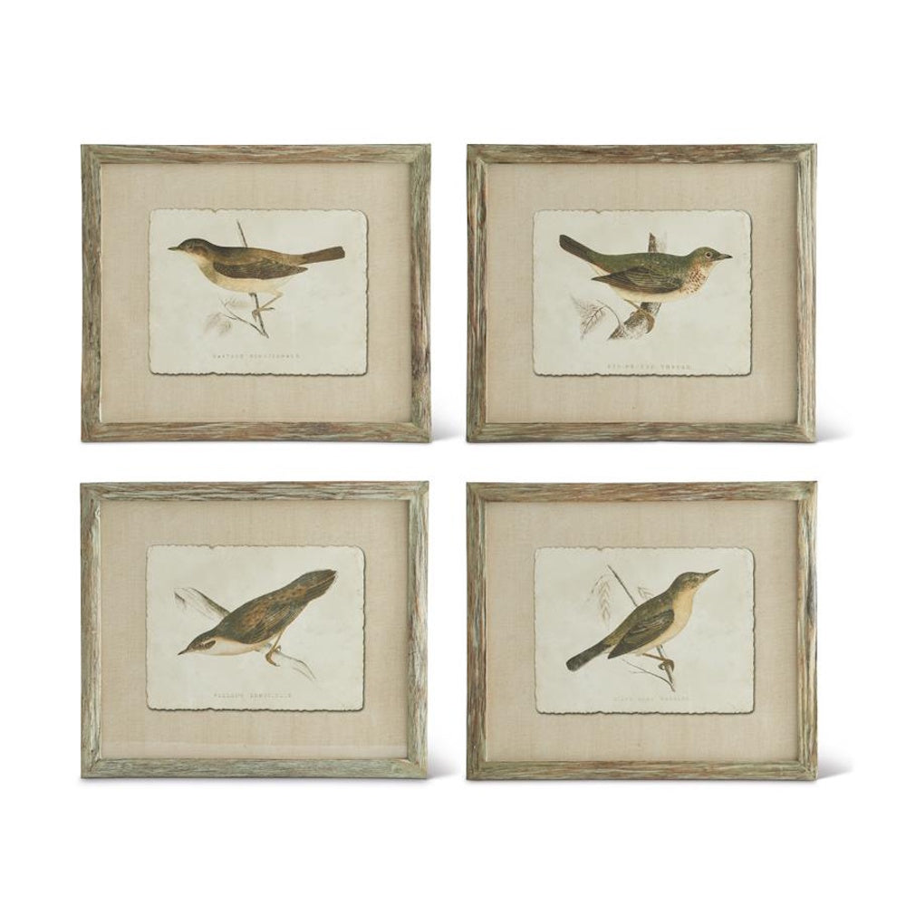 Set of four vintage bird botanical prints in rustic patina wood frames for wall decor.