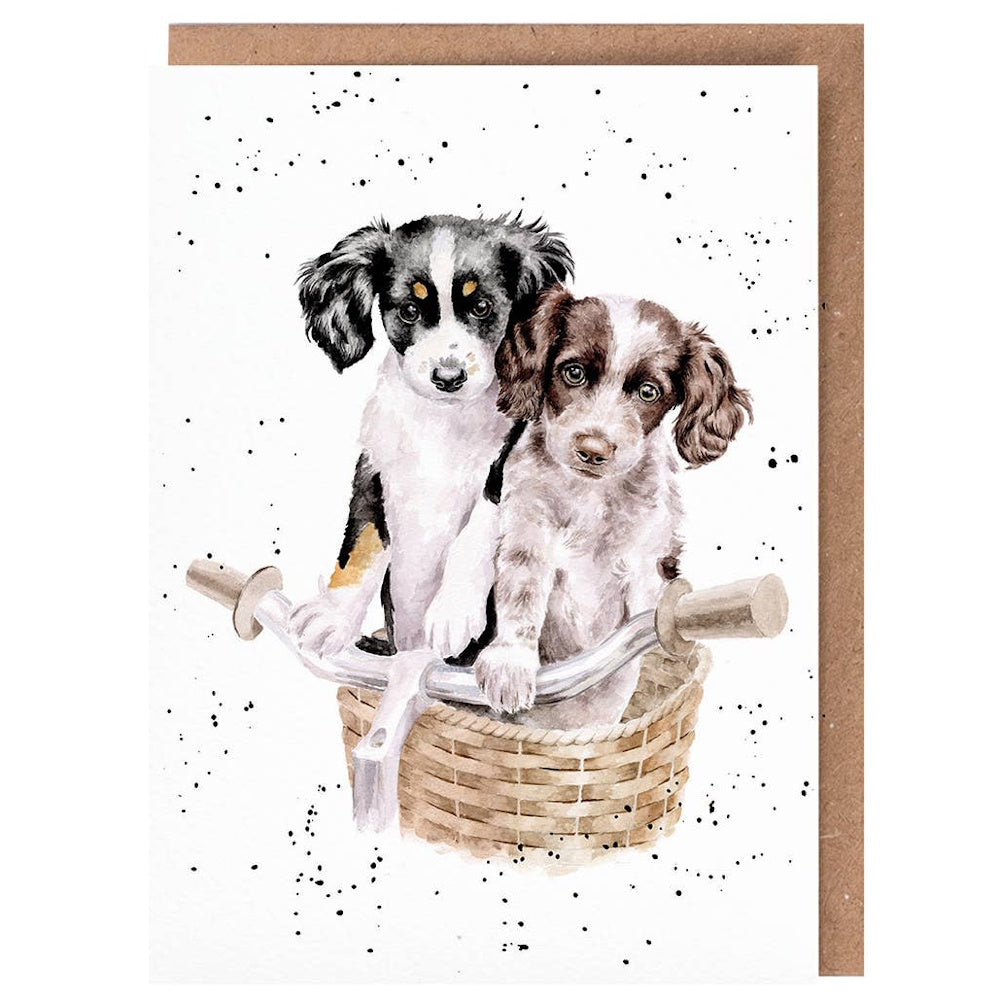 Watercolor illustration of two puppies sitting in a wicker bicycle basket against a white background with black splatters.