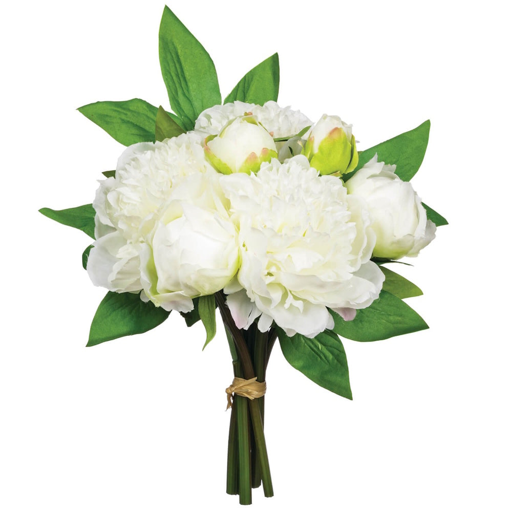 A bouquet of white peonies and green leaves tied with a string on a white background.