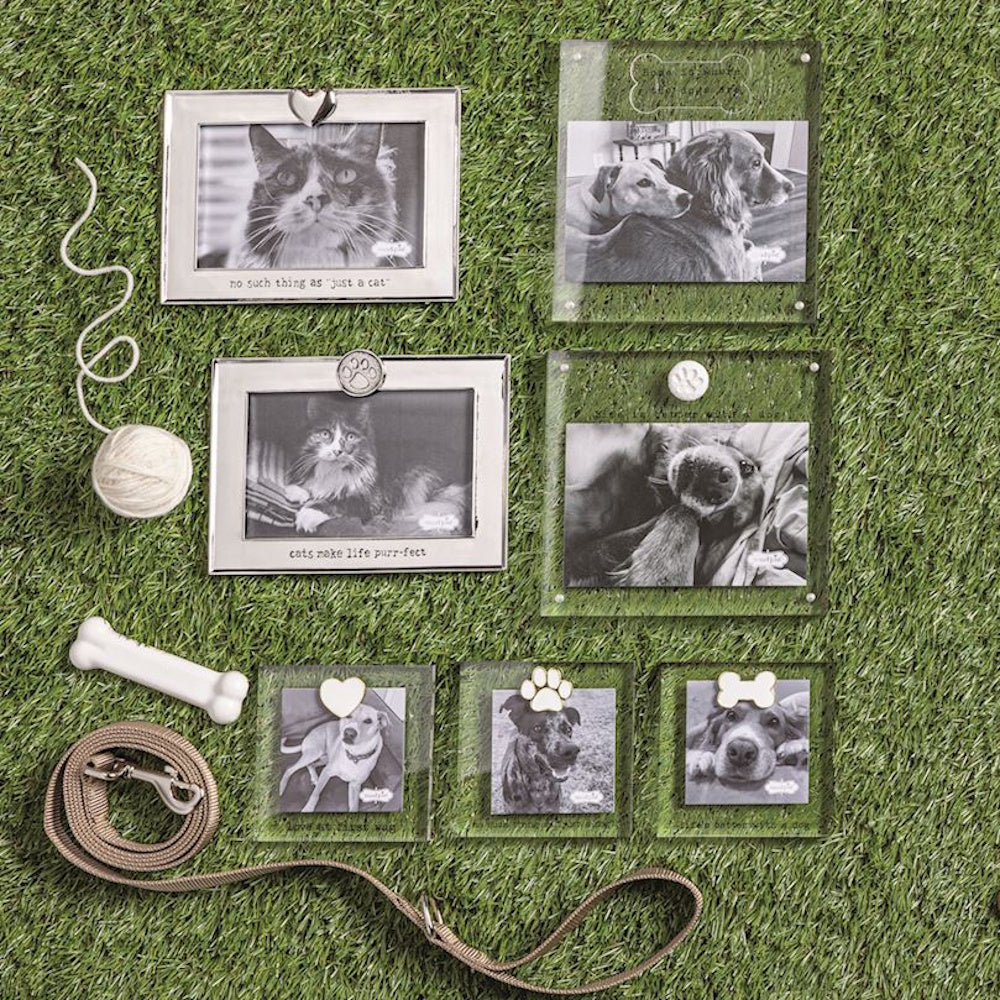 Assorted cat and dog picture frames laid out on grass next to a leash and a yarn ball.