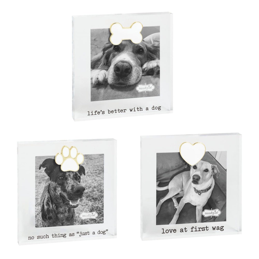Three acrylic mini magnetic picture frames featuring dog photos, pet-themed captions, and gold accents.
