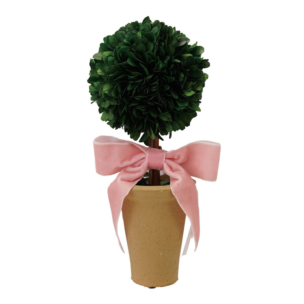 Preserved green boxwood topiary ball in a tan terracotta pot, decorated with a pink velvet bow.
