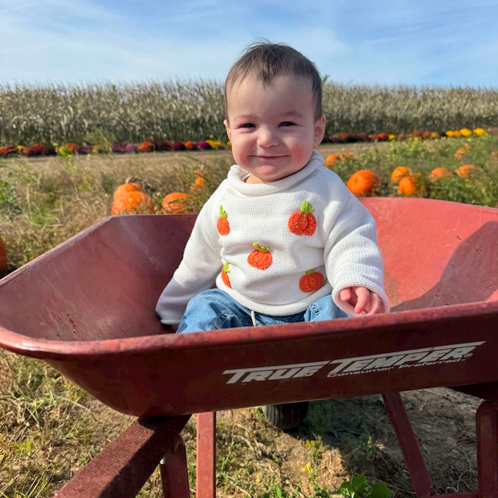 A smiling baby in a white knit pumpkin sweater sits in a red wheelbarrow at a pumpkin patch.