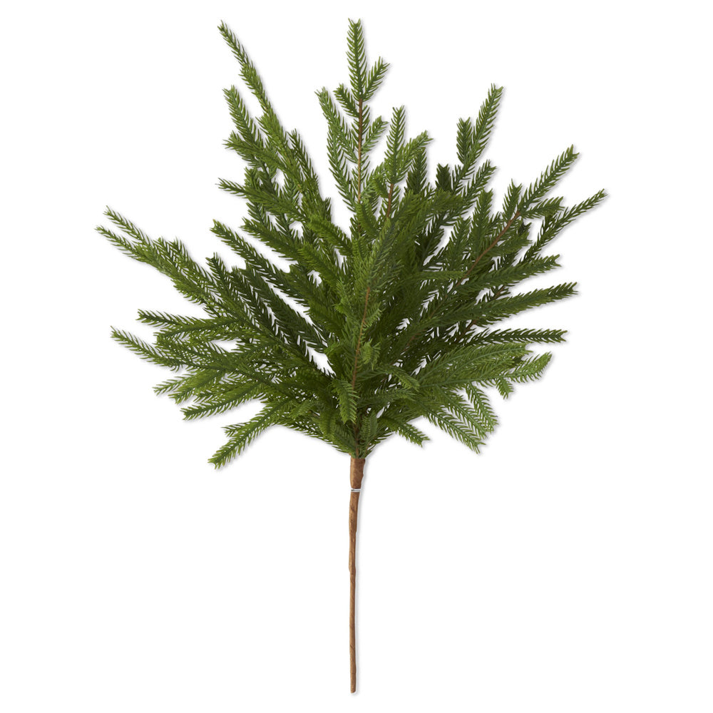 Real-touch green Norfolk pine stem with a brown stem against a plain background.
