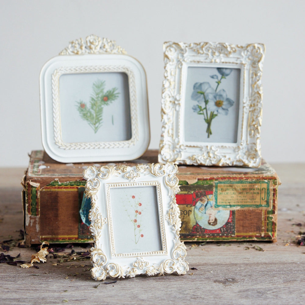 Three ornate white and gold vintage-style picture frames displaying botanical prints on a wooden box.