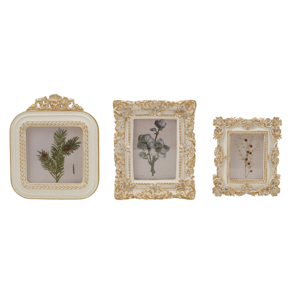 Three ornate white and gold picture frames displaying vintage botanical floral prints.