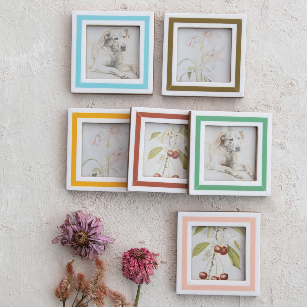 Six square white frames with colorful stripes and botanical sketches displayed on a textured wall.