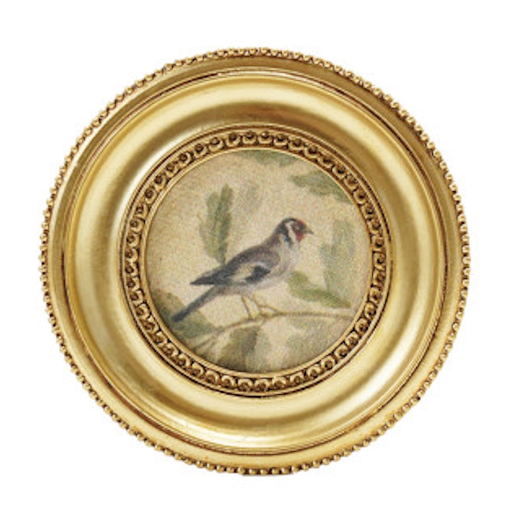 Vintage-style round gold frame magnet featuring a small bird illustration on a branch with a white background.