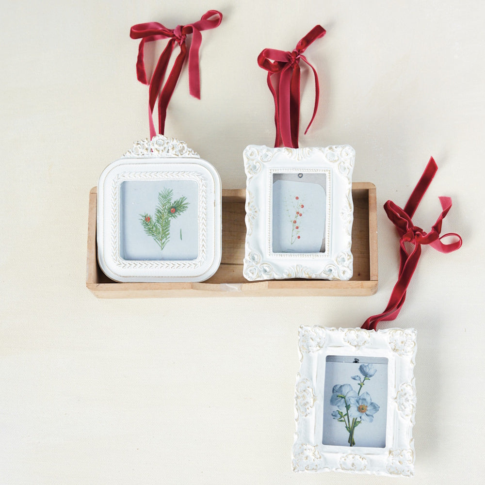 Three ornamental vintage-style white photo frames with botanical prints and red velvet ribbons.