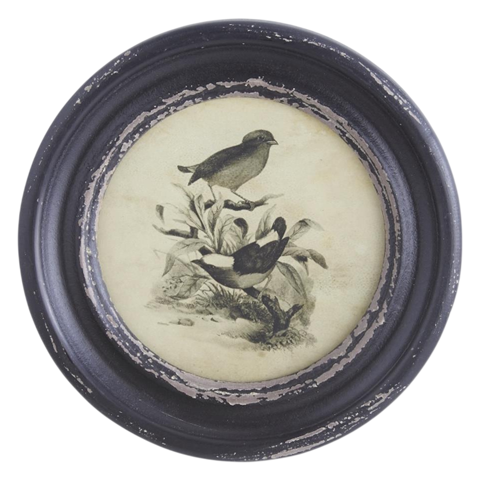 Vintage-style bird illustration in a distressed round black frame, featuring two birds perched on leafy branches.
