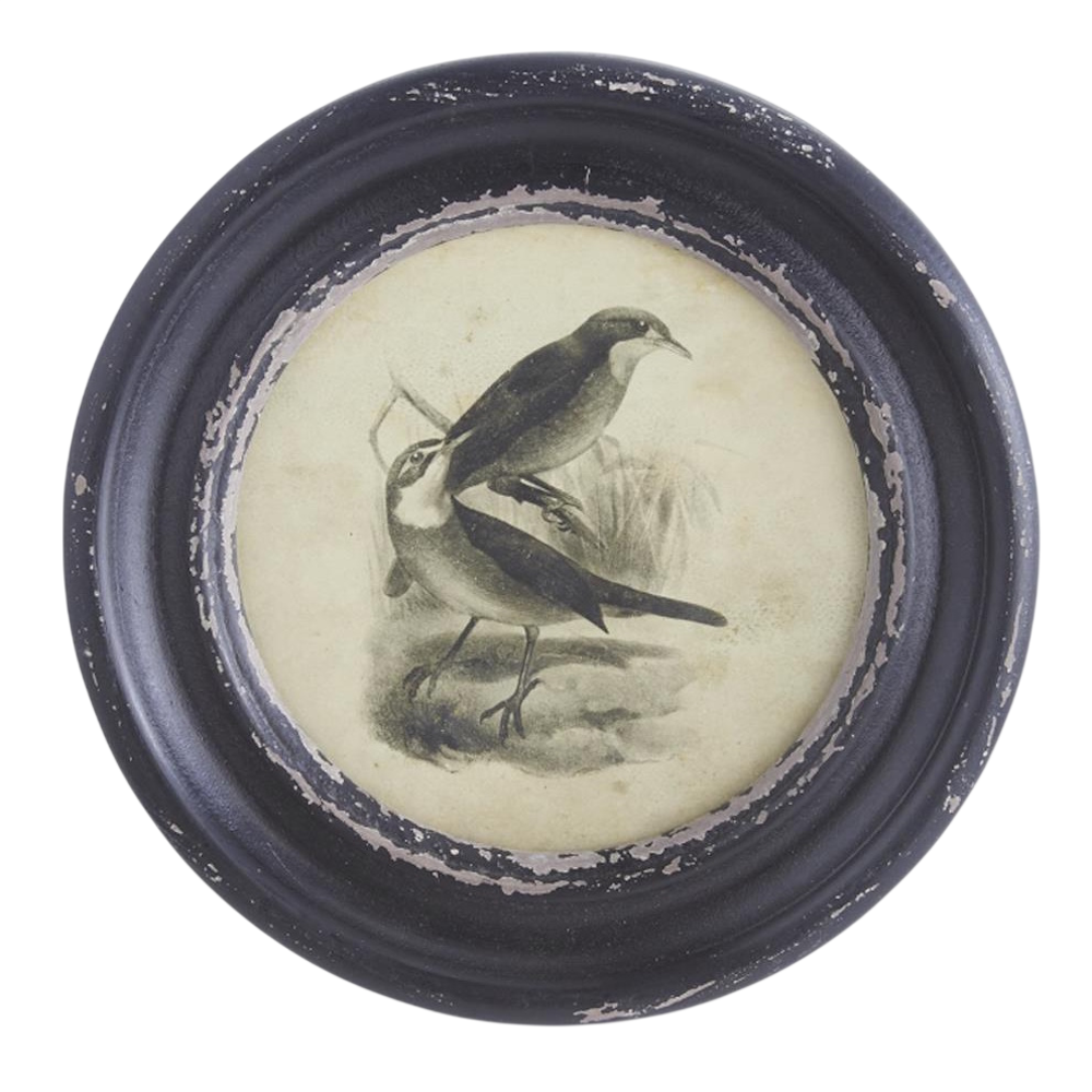 Vintage bird print in a round, distressed black frame featuring two birds on a branch with a neutral background.