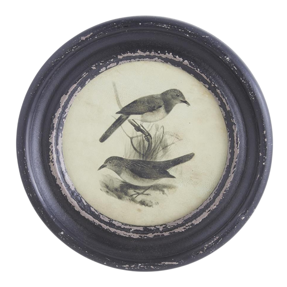 Vintage-style illustration of two birds in a round, distressed black frame on a white background.