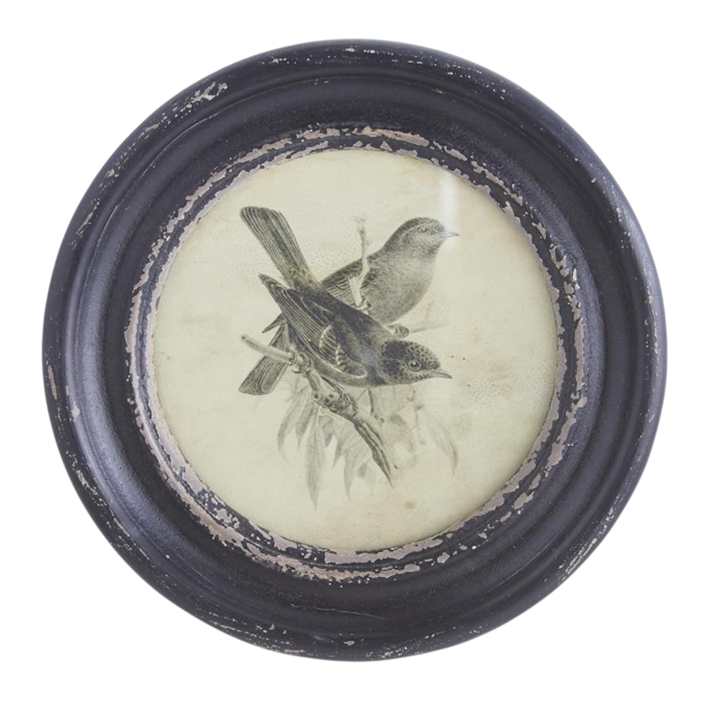 Vintage bird illustration of two birds on a branch in a round distressed black frame on a white background.