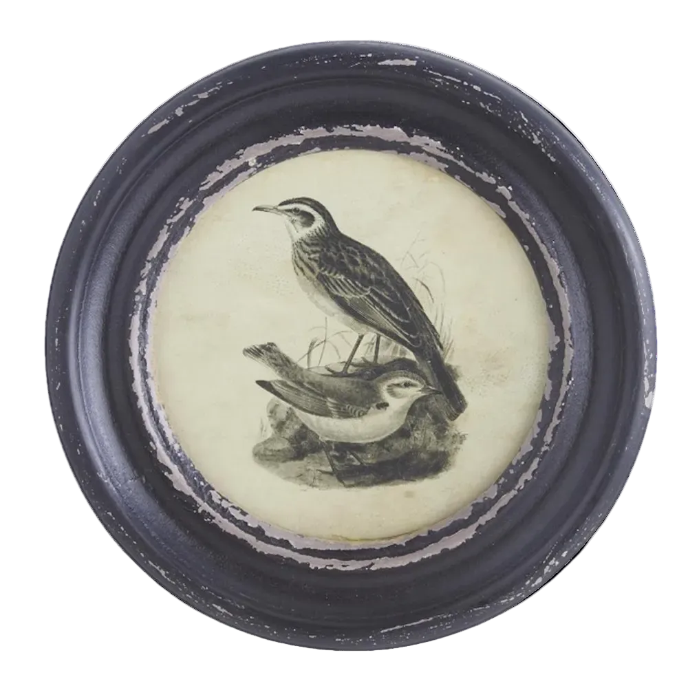 Vintage round black distressed frame with a monochromatic illustration of two birds on a white background.
