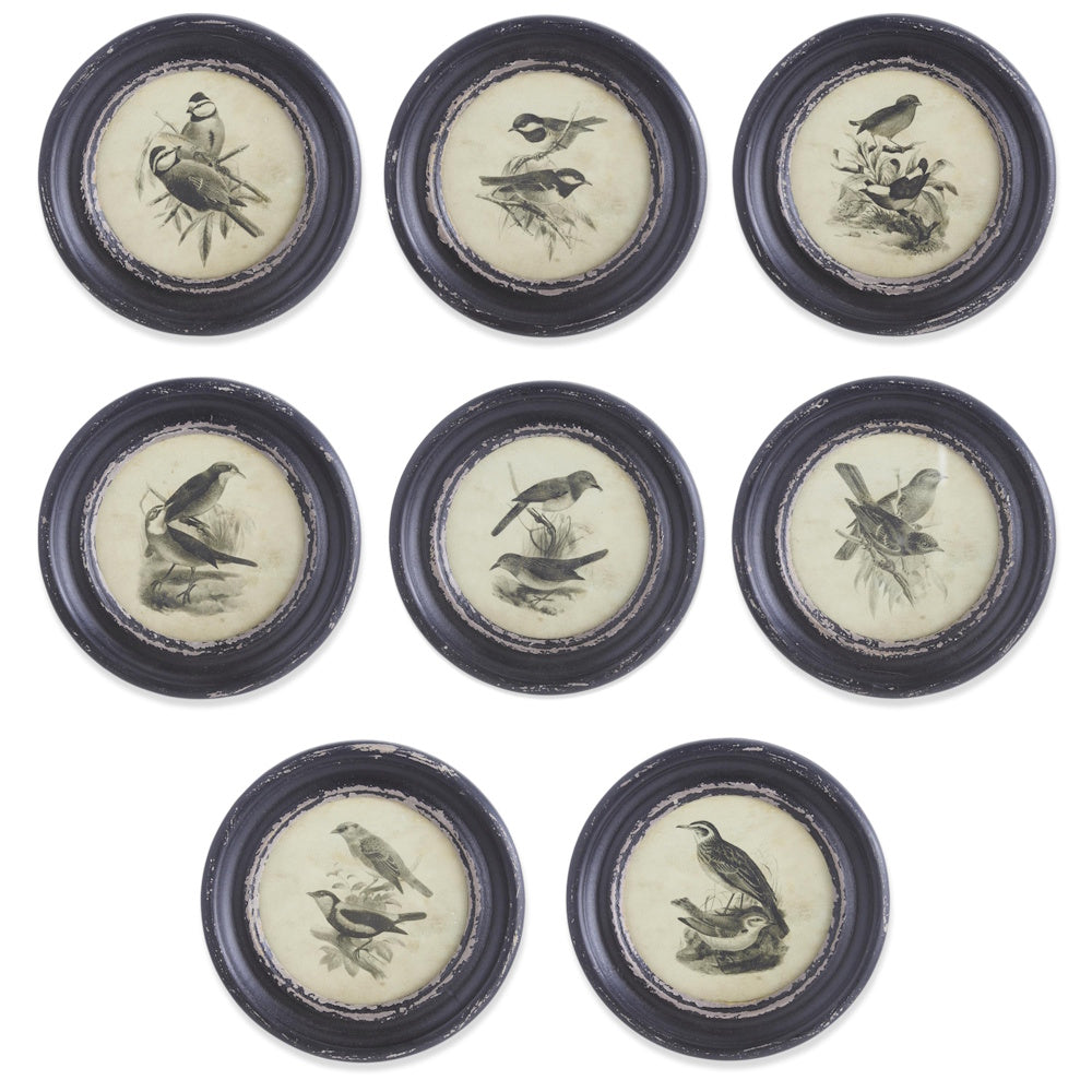 Set of 8 vintage-style round black framed bird prints with a distressed finish for rustic wall decor.