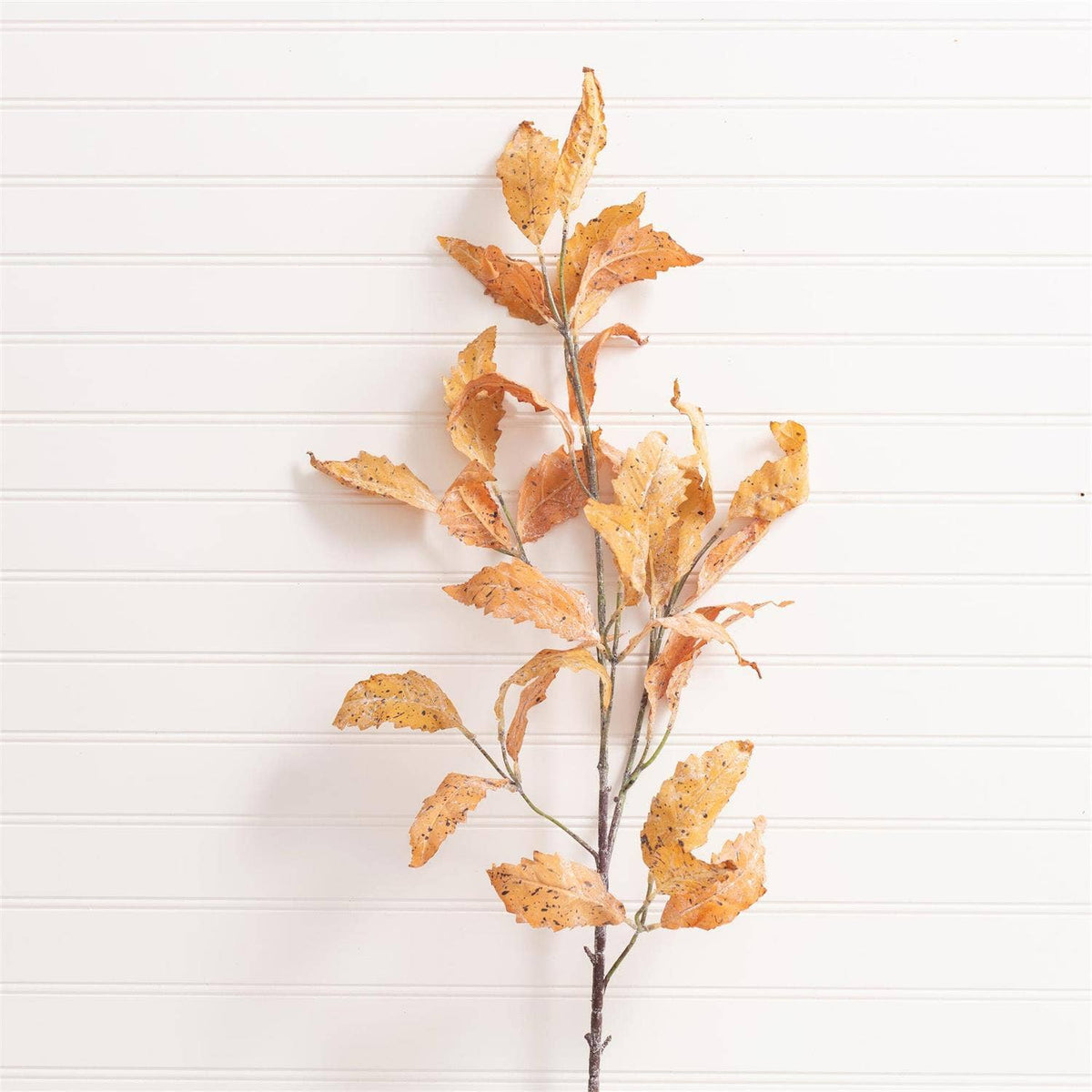 A rust-colored birch leaf spray featuring autumn-toned leaves against a white paneled wall.