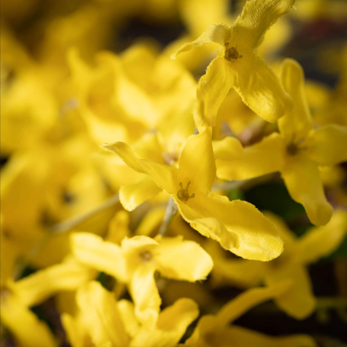 Forsythia & Twig Spray — alternate view 2