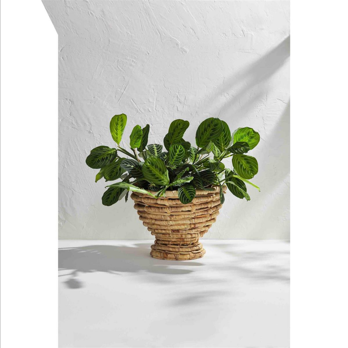 Woven Pedestal Bowl — alternate view 2