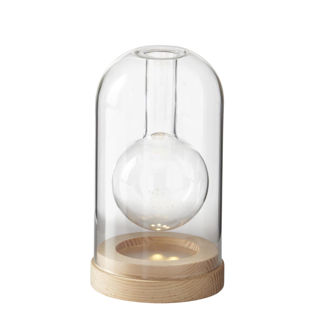 Clear glass cloche bud vase with internal LED lighting and a natural wood base for modern home decor tabletop displays.