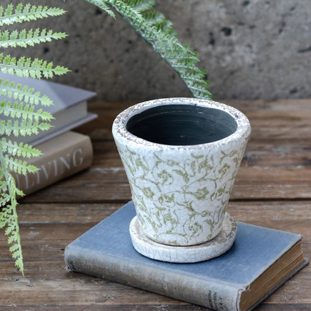 Small distressed white planter with a green antique floral print sitting on a blue vintage book.
