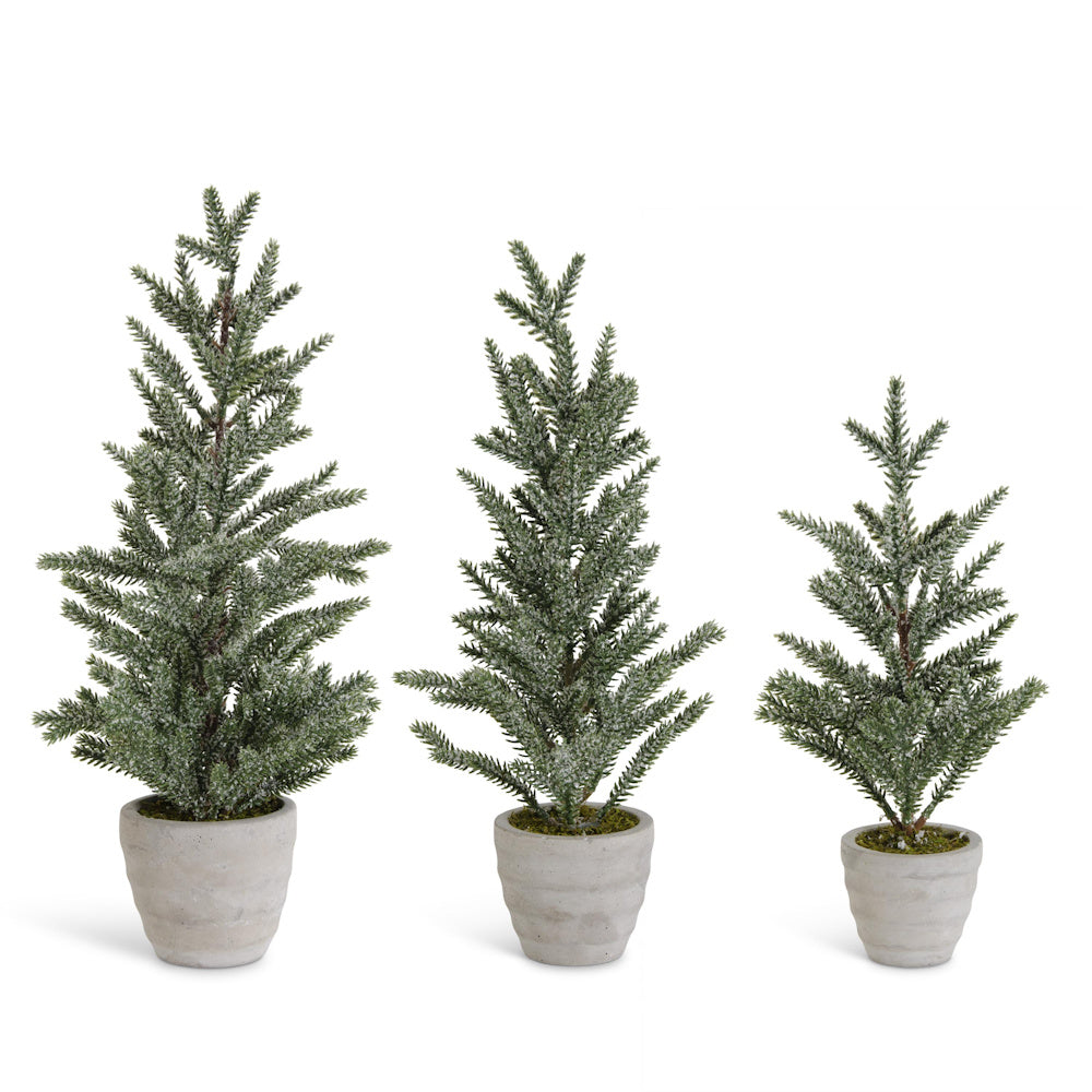 Small Snowy Pine Tree in Gray Cement Pot — alternate view 2